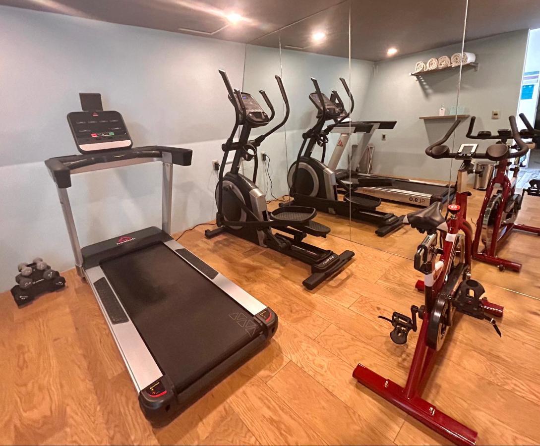 מקסיקו סיטי Hotel Cle Reforma Insurgentes מראה חיצוני תמונה
